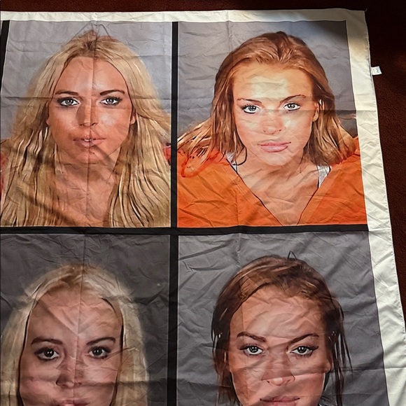 Lindsay Lohan Celebrity Mugshot Collage Tapestry - Picture 5 of 5